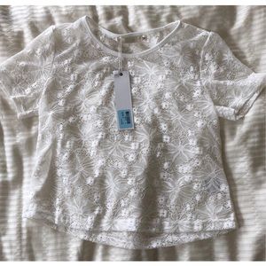 LF trendy lace short sleeve top